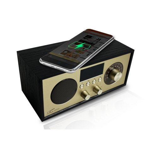 LTC przenośne radio BRDA, Bluetooth, FM, USB, 2200mAh, 10W ładowanie indukcyjne, czarno-złote LTC przenośne radio BRDA, Bluetooth, FM, USB, 2200mAh, 10W ładowanie indukcyjne, czarno-złote