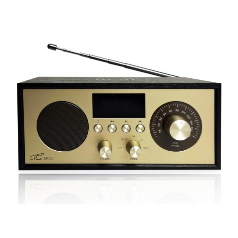 LTC przenośne radio BRDA, Bluetooth, FM, USB, 2200mAh, 10W ładowanie indukcyjne, czarno-złote LTC przenośne radio BRDA, Bluetooth, FM, USB, 2200mAh, 10W ładowanie indukcyjne, czarno-złote