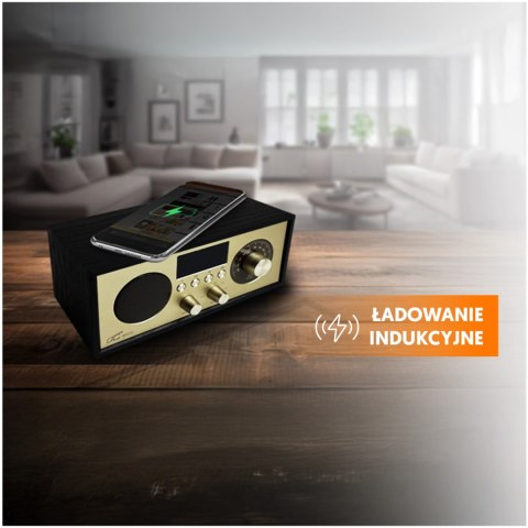 LTC przenośne radio BRDA, Bluetooth, FM, USB, 2200mAh, 10W ładowanie indukcyjne, czarno-złote LTC przenośne radio BRDA, Bluetooth, FM, USB, 2200mAh, 10W ładowanie indukcyjne, czarno-złote