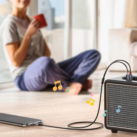Ugreen kabel przewód audio dźwiękowy USB Typ C (męski) - 2RCA (męski) 1,5m szary (20193 CM451) Ugreen kabel przewód audio dźwiękowy USB Typ C (męski) - 2RCA (męski) 1,5m szary (20193 CM451)