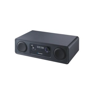 Blaupunkt wieża audio MS20BK czarna