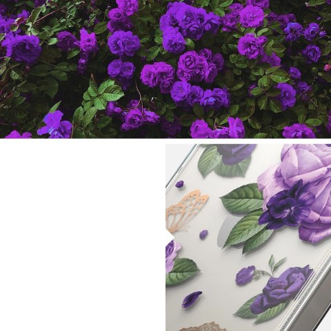 Ringke Fusion Design pancerne etui pokrowiec z żelową ramką iPhone 14 Plus przezroczysty (Purple rose) (FD637E29) Ringke Fusion Design pancerne etui pokrowiec z żelową ramką iPhone 14 Plus przezroczysty (Purple rose) (FD637E29)
