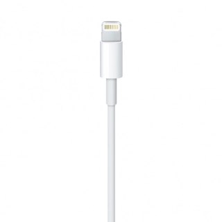 Apple kabel przewód USB-A - Lightning 0,5m biały (ME291ZM/A)