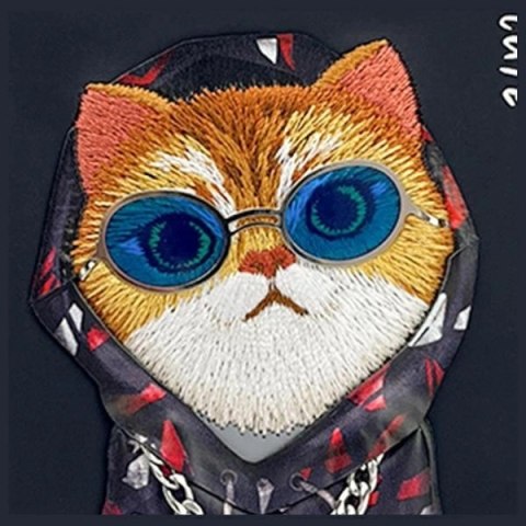 Etui Nimmy Glasses Cool Cat na iPhone 15 - czarne