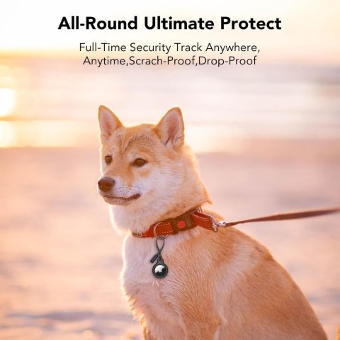 TECH-PROTECT ROUGH CHAIN 2-PACK APPLE AIRTAG 1 / 2 BLACK