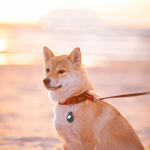 TECH-PROTECT ROUGH VEIN 2-PACK APPLE AIRTAG 1 / 2 BLACK