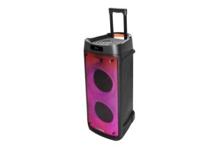 Blaupunkt głośnik power audio PB08DB