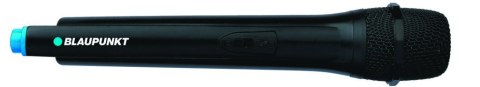 Blaupunkt głośnik power audio PS6
