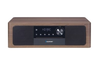 Blaupunkt wieża MS22BT