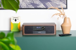 Blaupunkt wieża MS22BT