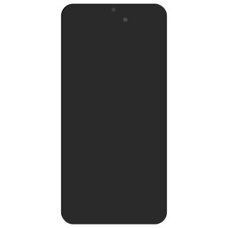 LCD + panel dotykowy Samsung A16 4G czarny oryginał