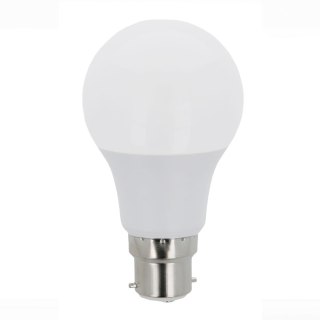 Żarówka LED B22 A60 10W 230V 6000K 1060lm Forever Light