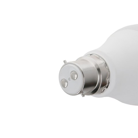 Żarówka LED B22 A60 6W 230V 6000K 660lm Forever Light Żarówka LED B22 A60 6W 230V 6000K 660lm Forever Light