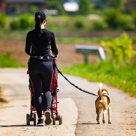 Pas biodrowy z saszetką i elastyczną smyczą do biegania z psem Wozinsky WPST-01 - czarny