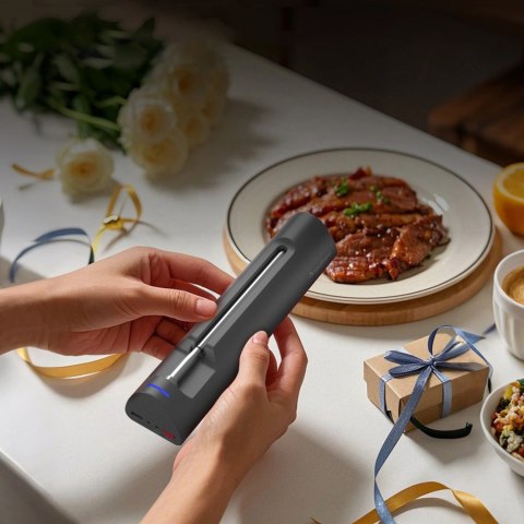 Termometr kuchenny Meatmeet S Pro smart aplikacja Bluetooth grill piekarnik wędzarnia - czarny