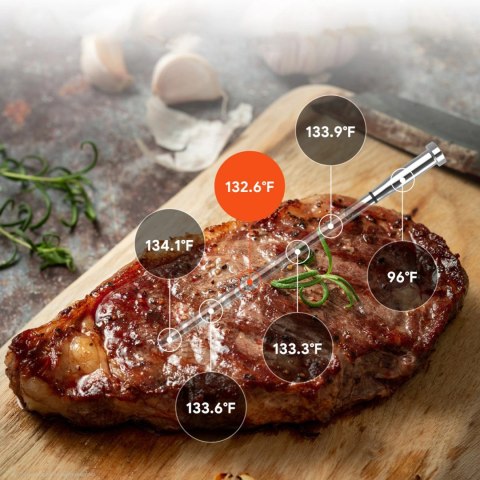 Termometr kuchenny Meatmeet S Pro smart aplikacja Bluetooth grill piekarnik wędzarnia - czarny