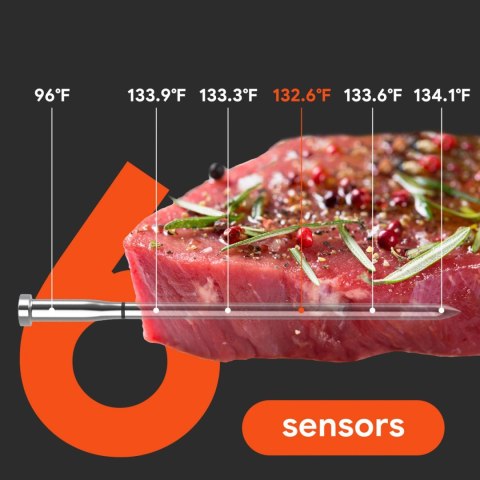Termometr kuchenny Meatmeet S Pro smart aplikacja Bluetooth grill piekarnik wędzarnia - czarny