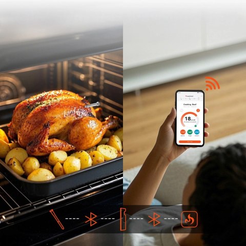 Termometr kuchenny Meatmeet S Pro smart aplikacja Bluetooth grill piekarnik wędzarnia - czarny