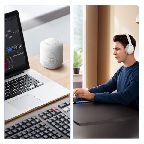 Adapter/Receiver5.3 Bluetooth