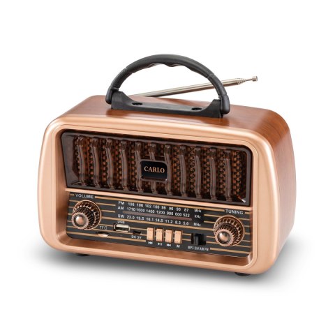 Forever Electro Radio AM/FM CARLO JB-105 BT USB 1200mAh