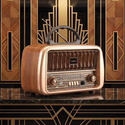 Forever Electro Radio AM/FM CARLO JB-105 BT USB 1200mAh