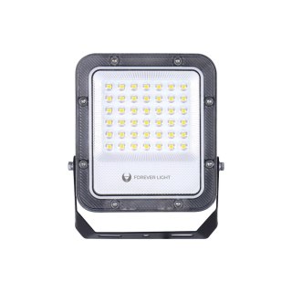 Naświetlacz LED PROXIM+ 30W 6500K 4500lm 230V IP65 Forever Light 150lm/W 5 lat gwarancji